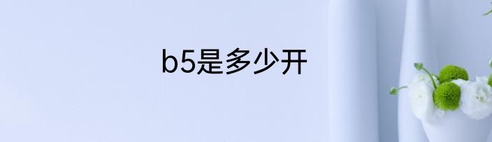b5是多少开