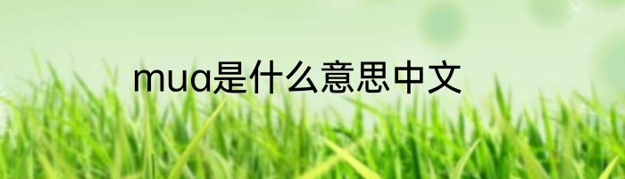 mua是什么意思中文