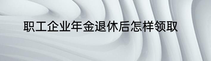 职工企业年金退休后怎样领取