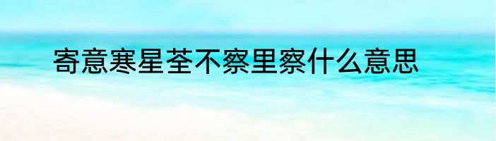 寄意寒星荃不察里察什么意思