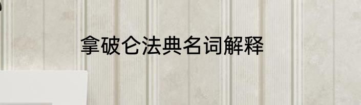 拿破仑法典名词解释