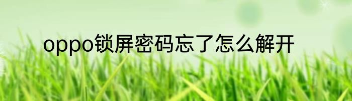 oppo锁屏密码忘了怎么解开