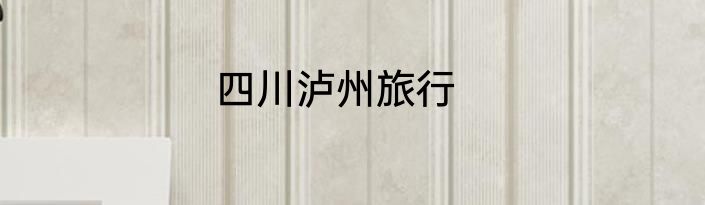 四川泸州旅行