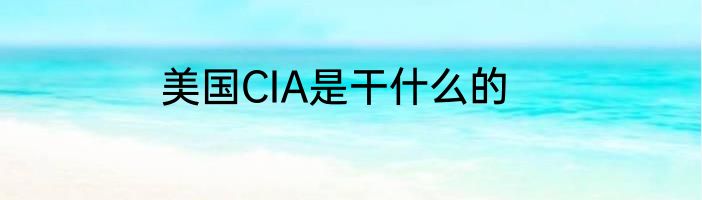 美国CIA是干什么的