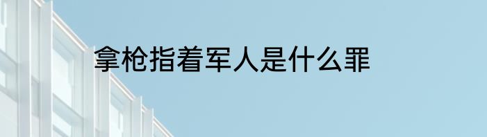 拿枪指着军人是什么罪