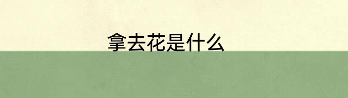 拿去花是什么