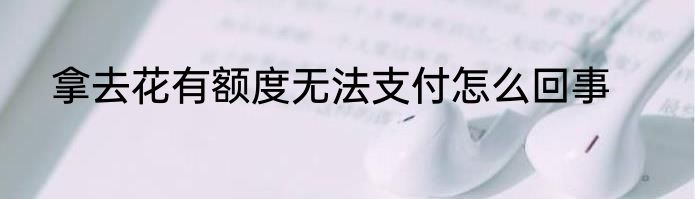 拿去花有额度无法支付怎么回事