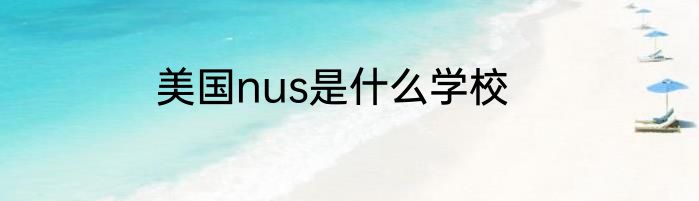 美国nus是什么学校