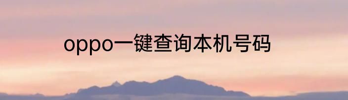 oppo一键查询本机号码