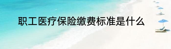 职工医疗保险缴费标准是什么