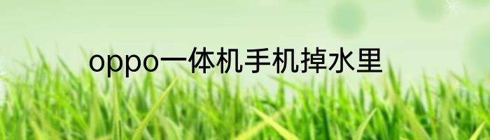 oppo一体机手机掉水里