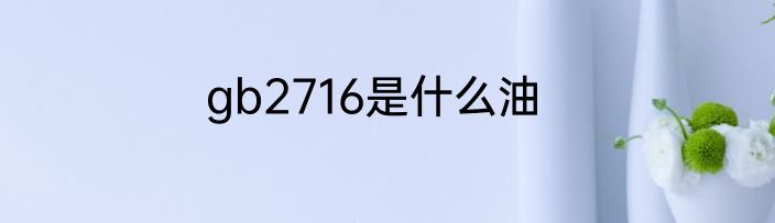gb2716是什么油