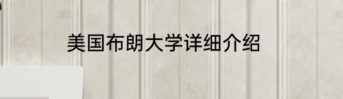 美国布朗大学详细介绍