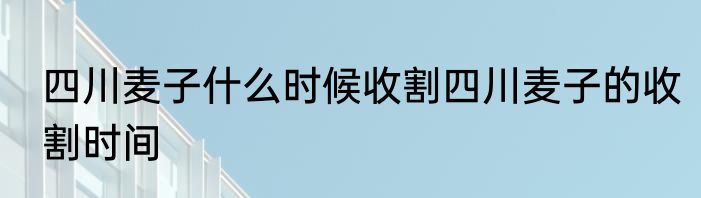 四川麦子什么时候收割四川麦子的收割时间