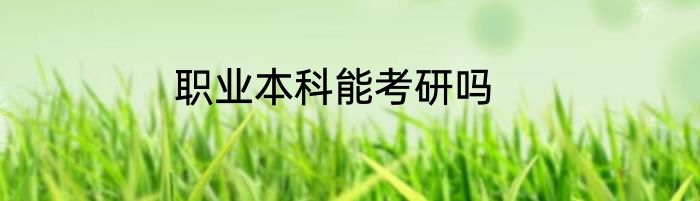 职业本科能考研吗