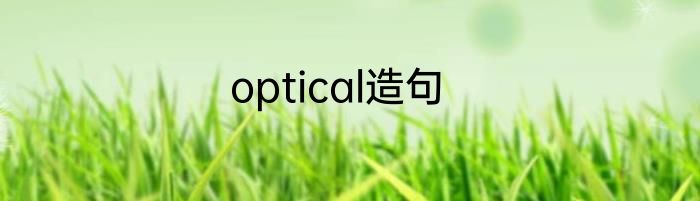 optical造句