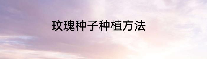 玟瑰种子种植方法