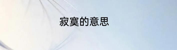 寂寞的意思