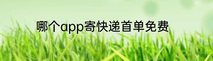 哪个app寄快递首单免费