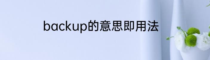 backup的意思即用法