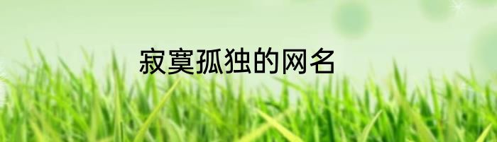 寂寞孤独的网名