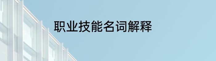 职业技能名词解释
