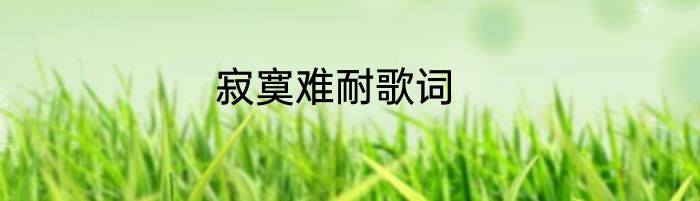 寂寞难耐歌词