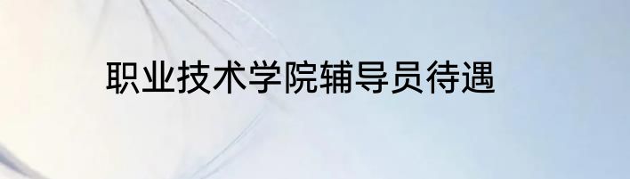 职业技术学院辅导员待遇