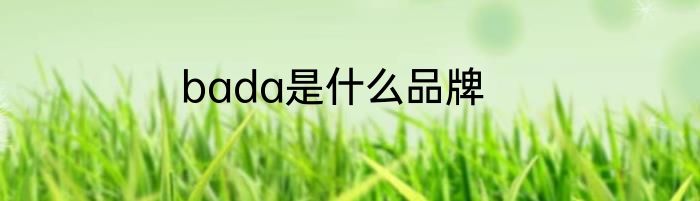 bada是什么品牌