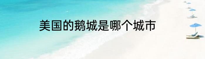 美国的鹅城是哪个城市