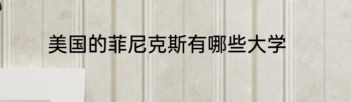 美国的菲尼克斯有哪些大学