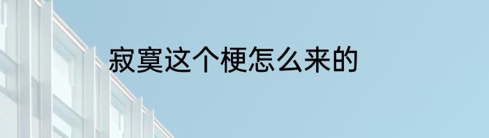 寂寞这个梗怎么来的