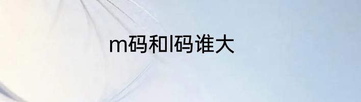 m码和l码谁大