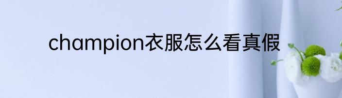 champion衣服怎么看真假