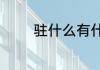 驻什么有什么的词语有哪些
