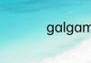 galgame是什么意思
