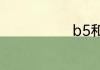 b5和a4哪个大