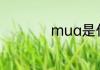 mua是什么意思中文