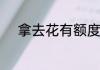 拿去花有额度无法支付怎么回事