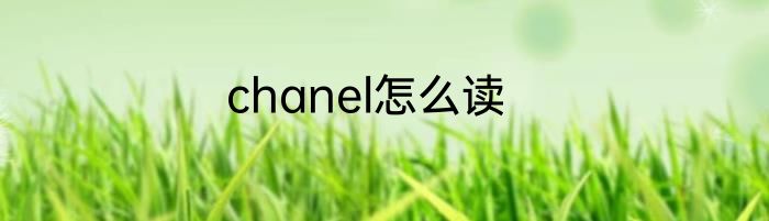 chanel怎么读