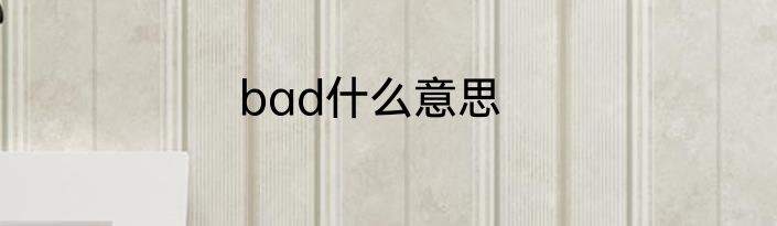 bad什么意思