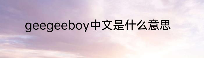 geegeeboy中文是什么意思