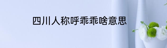 四川人称呼乖乖啥意思