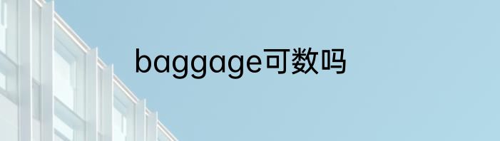 baggage可数吗