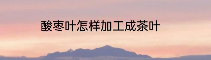 酸枣叶怎样加工成茶叶