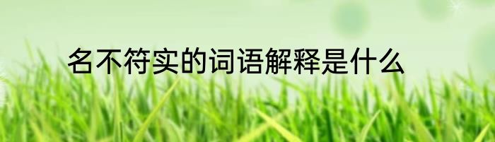 名不符实的词语解释是什么