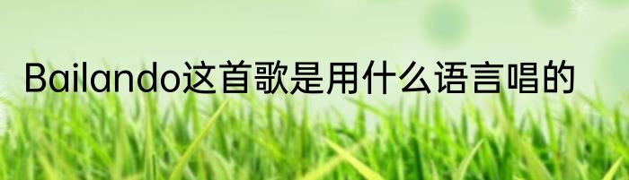 Bailando这首歌是用什么语言唱的