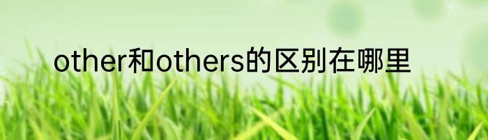 other和others的区别在哪里
