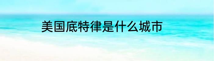 美国底特律是什么城市