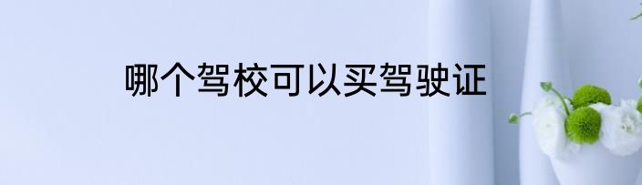 哪个驾校可以买驾驶证
